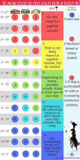 Once you have an idea of how likely your dog can tolerate chilly. How Cold For Dogs Cheap Buy Online