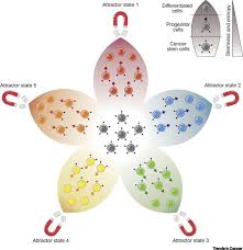 I differ on something stated by mrs. Glioblastoma Stem Cells Driving Resilience Through Chaos Trends In Cancer