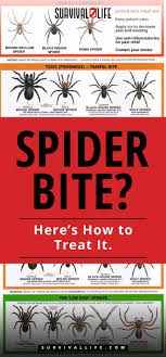 Pin On Good Tips For All