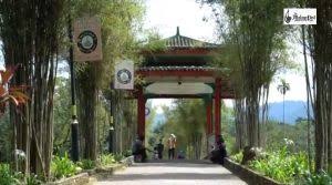 Taiping lake garden, taiping, perak, malaysia. Bukan Sahaja Indah Taman Tasik Taiping Beri Manfaat Terhadap Ekosistem Dan Ekologikal The Malaya Post