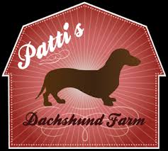 Patti S Dachshund Farm Better Business Bureau Profile