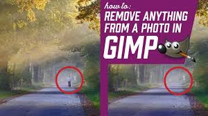 This app isn't capable of fine tuning small details like touchretouch, but it does a great job with solid backgrounds. How To Remove Anything From A Photo In Gimp Davies Media Design
