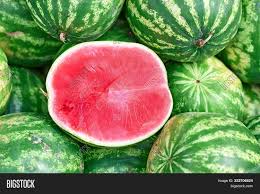 When will watermelon be ready? Cut Half Watermelon Image Photo Free Trial Bigstock