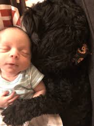 Owensboro Parent Magazine's 2nd Annual Pet Photo Contest