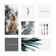 Moodboard For Holistic Wellness Wellness Coach Holistic Wellness Holistic Health Coach