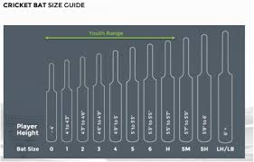 Cricket Direct Cricket Bat Sizes