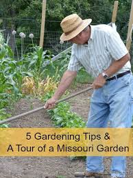 However, they have sprounted and are growing. 5 Gardening Tips And A Tour Of My Dad S Garden