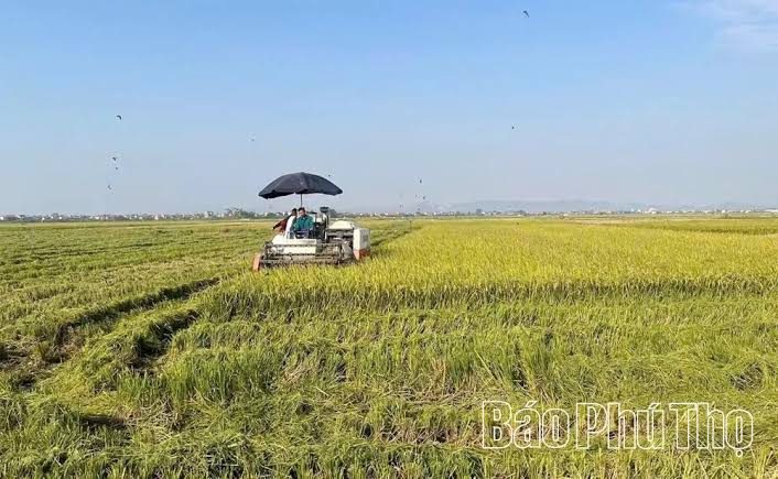 Đưa khoa học kỹ thuật vào trồng trọt