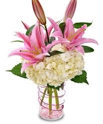 Check spelling or type a new query. Valentine S Day Love Is An Adventure
