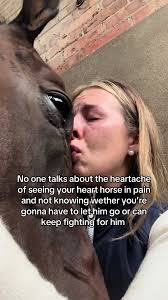 Rip Joe Harney Ashes Horse