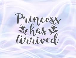 Download Princess Has Arrived Svg Baby Girl Onesie New Baby Coming Take Home Clothes Print Svg Files For Cricut