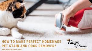 Making a carpet stain removing solution to remove pet urine stains every time could turn into a hassle. Diy Pet Stain And Odor Remover Kings Of Steam Castle Rock