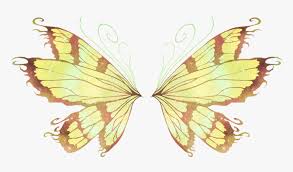 Maybe you would like to learn more about one of these? Yellow Fairy Wings Png Png Download Transparent Png Transparent Png Image Pngitem