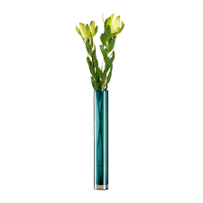 York designer series, schumacher, cole & son, magnolia home Buy Lsa International Epoque Vase Tall Peacock 48cm Amara