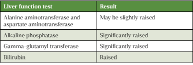 Image result for Liver Function Test