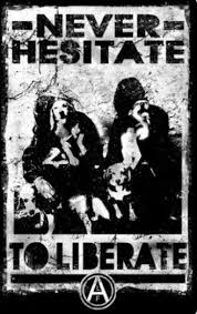 Pin By Draupadi On Alf Animal Liberation Front Animal Rights Animal Rights Animal Liberation Animal Advocacy