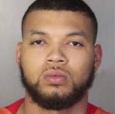 Police: Man bites, and kills, dog while high