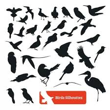 Jetzt einfach passende schablone aussuchen und. Bilder Vogel Silhouetten Gratis Vektoren Fotos Und Psds