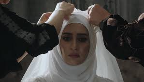 JxJ 2025 Film and Music Festival Brochure by Edlavitch DCJCC