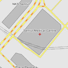 Centrele medical clinica sante moldova: Sentul Medical Centre Malaymuni