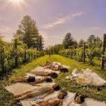 WELLNESS WEDNESDAY: A SOUND BATH IN THE VINEYARD