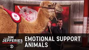 Get a reading with a life path psychic and find out! Leave Your Emotional Support Camel At Home The Jim Jefferies Show Youtube