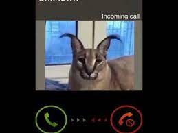 Pick Up The Phone Baby Youtube