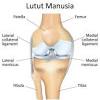 Sendi, ubat sakit gout, ubat sakit tumit kaki, ajht vitamin sakit lutut dan sendi shaklee supplement via supplementforall.blogspot.com. 1