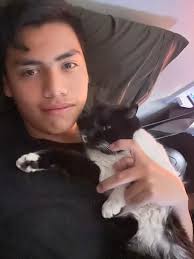 Found a lost dog in Clearfield, no chip or collar