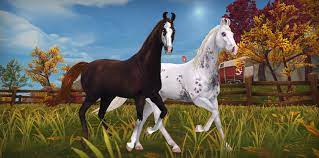 Maybe you would like to learn more about one of these? Marwari Stimmung Star Stable