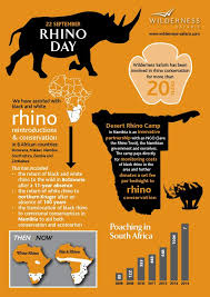 20 Years Of Rhino Conservation In Six Countries Around Africa Malawi Botswana Southafrica Zimbabwe Namibia Zambia Rhino Animal Infographic Animal Facts