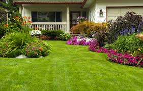 Mckinney Tx Landscaping Backyard Landscaping Designs Home Landscaping Front Yard Landscaping