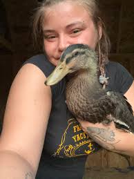 Raising Ducks and Geese