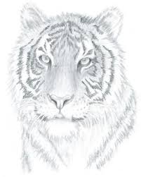You'll be sure to pick up a lot of painting tips and tricks through this tutorial. Drawing Simple Animals Eye Tutorial 24 Ideas Realistic Animal Drawings Realistic Drawings Animal Drawings