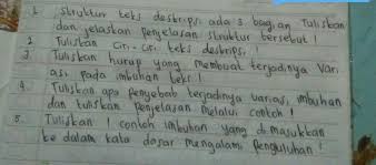 Struktur teks laporan hasil observasi. Tuliskan Ciri Ciri Teks Deskripsi Cara Golden