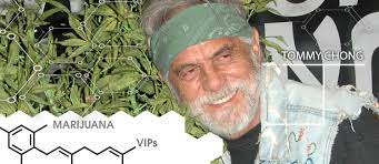 Cheech and chong heute : Marihuana Vips Tommy Chong Cannaconnection Com