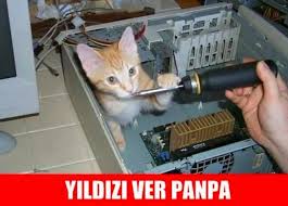 Internette Dolanan Kediler Uzerinden Donmus En Geyik 43 Caps Onedio Com