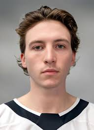 Player photos for the 2018-19 Sioux Falls Stampede at hockeydb.com