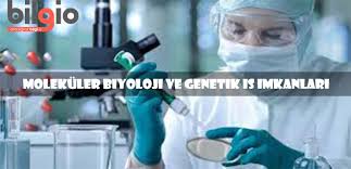 Endüstri mühendisliği, bilgisayar bilimi ve mühendisliği, moleküler biyoloji, genetik ve biyomühendislik, malzeme bilimi ve nanomühendislik, mekatronik mühendisliği, elektronik mühendisliği. Molekuler Biyoloji Ve Genetik Bolumu Hakkinda Bilinmesi Gerekenler Bilgio Net