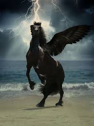 Pegasus Magical Horses Fantasy Creatures Mythological Creatures