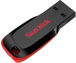 How to choose the best pen drive? Buy Sandisk 32 Gb Cruzer Blade Usb 2 0 Pen Drive Online At Best Price On Moglix