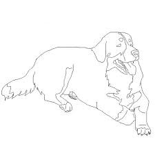 Comme l'on parle de beauté d'domestique et de insigne privée, la polyvalence d'un paillasson est couramment négligée. Coloriage Chien Les Beaux Dessins De Animaux A Imprimer Et Colorier Coloriage 436