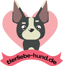 Falls sie wissen möchten, ab wann sie eine hundeschule besuchen können: Ab Wann Ist Eine Hundeschule Sinnvoll Zeitpunkt Und Dauer