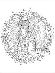 Katten Mandala Poster Online Bestellen Posterlounge Nl
