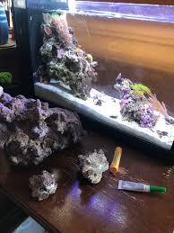 Check spelling or type a new query. Diy Rock Frag Plug Floating Island General Discussion Nano Reef Community
