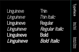 Enter some text in the box below, then click the preview button. Linguineve Font Family 1001 Fonts
