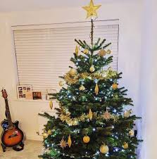Your bottle of dishwasher detergent lookin' a little down? Christmas Tree Direct Home Facebook