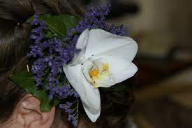Partylite is known for their candles and accessories.let partylite now help you decorate 27 reviews. Amour Flowers 51 Photos 27 Reviews Florists 5732 Buckeystown Pike Frederick Md Phone Number Products Yelp