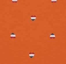 Spelers als wesley sneijder, robin van persie en arjan robben zorgen elke wedstrijd opnieuw voor zinderende momenten waar nog veel over nagepraat wordt. Dames T Shirt Oranje Hema