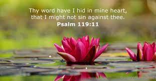 New king james version the grass withers, the flower fades, but the word of our god stands forever. 40 Bible Verses About Might Kjv Dailyverses Net